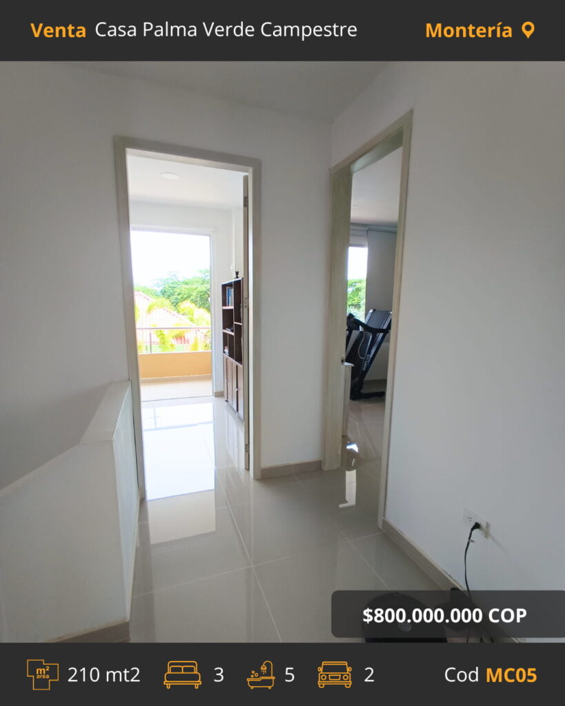 23CM05-monteria